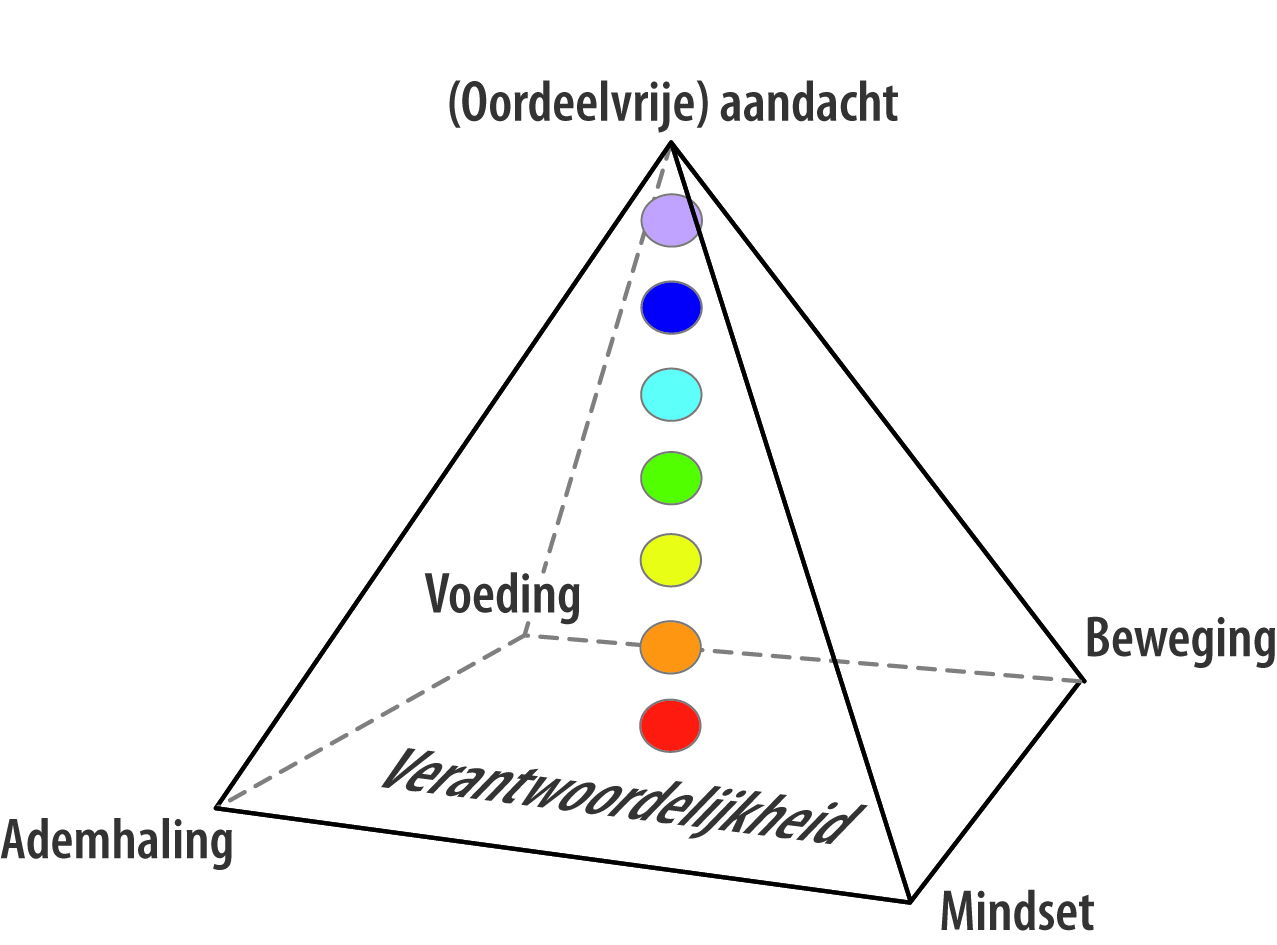 De Piramide van Inzicht