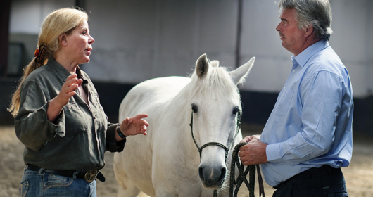 paarden coaching