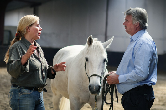 Paardencoaching